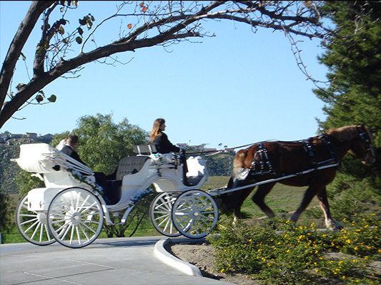 horse drawn carriage escorting bridal party across course green