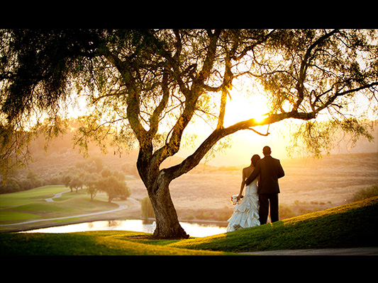 bride and groom gazing at the sunset under a tree on the golf course