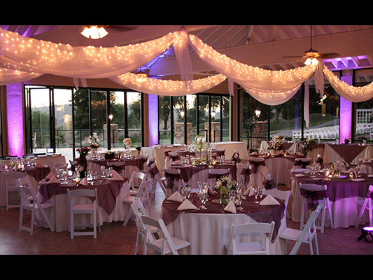 view of reception seating with twinkling lights and light romantic drapery with twinkling lights and canopy